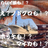 2020沖合漁再開！「秋田沖のお魚パック」9月号！