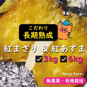 【福袋2024】特価送料無料！熟成紅まさり紅あずま3kg 6kg食べ比べセット♪