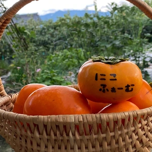 【2S.Sサイズ】和歌山県産　富有柿（ご家庭用）