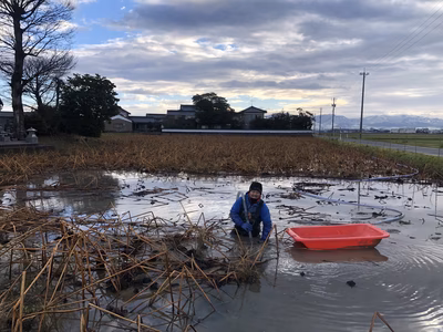 みんなの投稿の画像