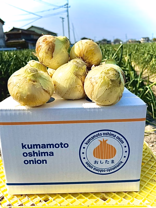 #令和6年　新玉ねぎ　おしたま