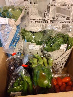 みんなの投稿の画像