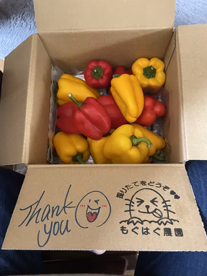 みんなの投稿の画像