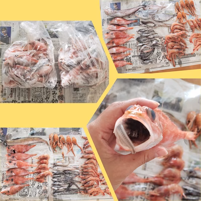 みんなの投稿の画像