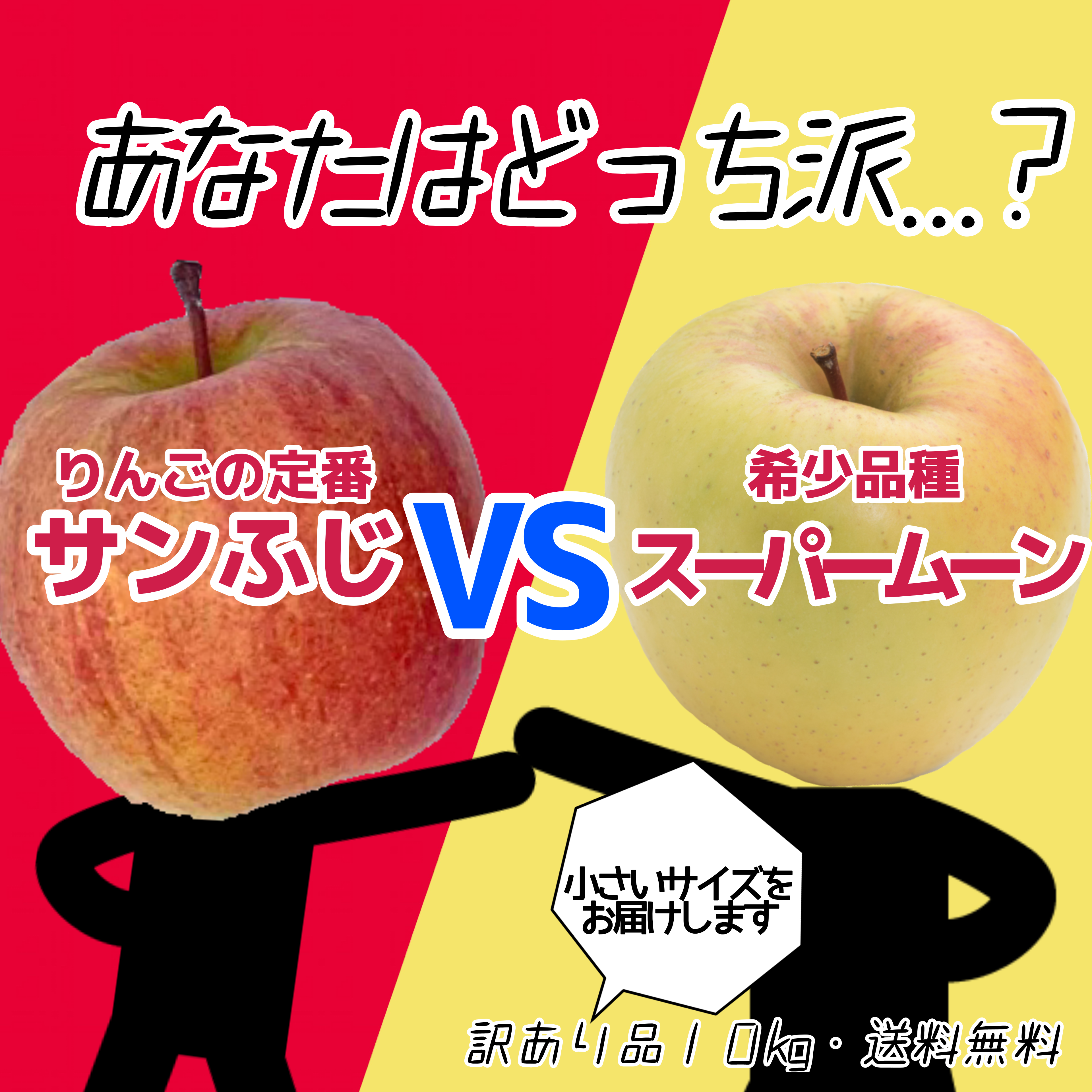 送料無料 スーパームーンりんご サンふじ 訳あり10kg 農家漁師から産地直送の通販 ポケットマルシェ