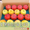 早生ふじ＆トキ（ミックス） 【 1箱 5kg 】