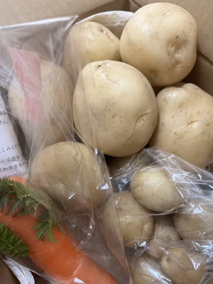 みんなの投稿の画像