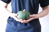 【農薬・化学肥料不使用】かぼちゃ2玉・ほっこり姫（ミニカボチャ）2玉