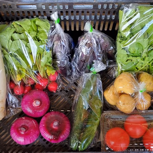 【第六弾】ダンボールに『ぎっしりと!!』野菜セット♪(クール便)