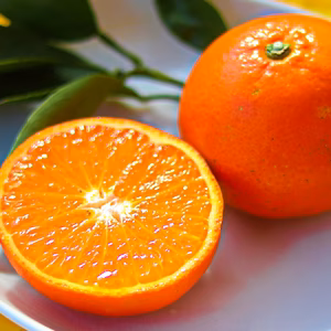 お買い得！今年はちょっと残念な「みはや」家庭用