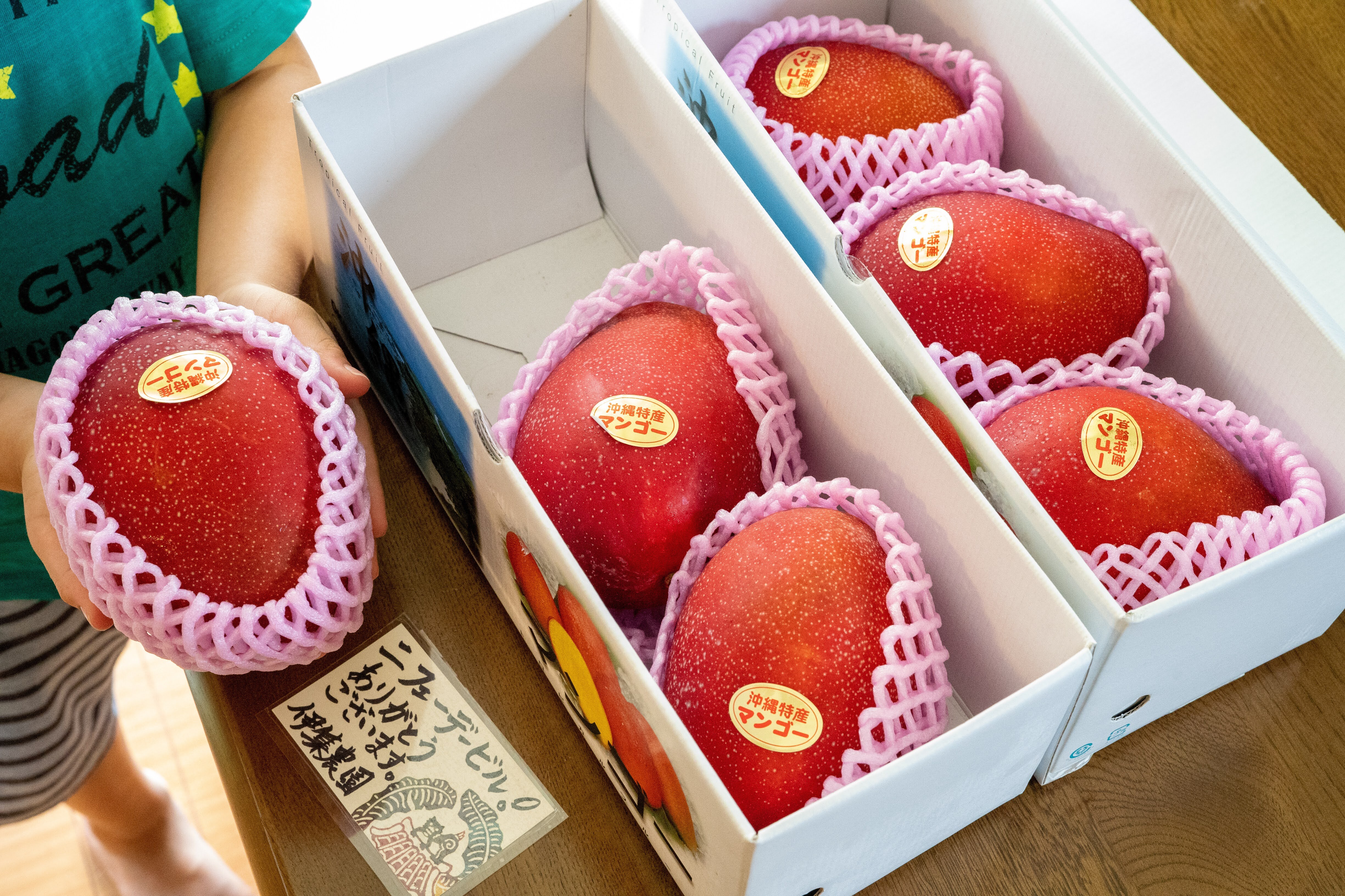 限​定​販​売​】 沖縄県産 小サイズ 7kg 摘果マンゴー フルーツ
