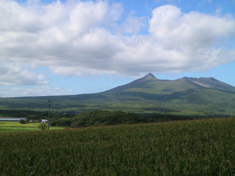 【北海道】平飼い卵「ななエッグ」６個入り ４パックセット(合計24個)