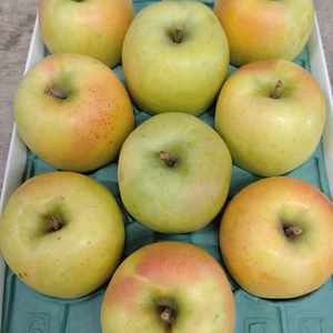 サンむつ家庭用3キロ