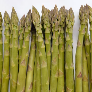 庄内のアスパラ　1kg　３Ｌ～２Ｌサイズ