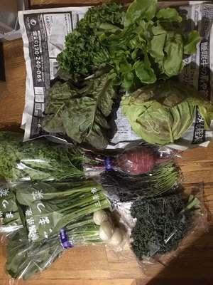 みんなの投稿の画像