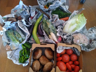 みんなの投稿の画像