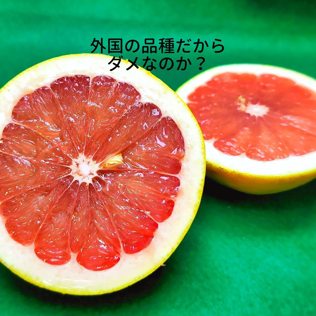 新鮮 ピンクグレープフルーツ 48玉 imgrc0096622743.jpg