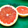 グレープフルーツ（紅）　リクエスト分だけ