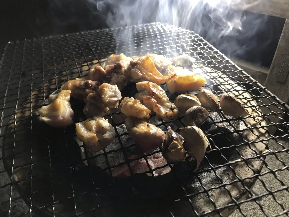 うま味凝縮！かたい親鶏セット 土佐ジローと赤鶏ミンチ（本州四国九州お届け）かしわ