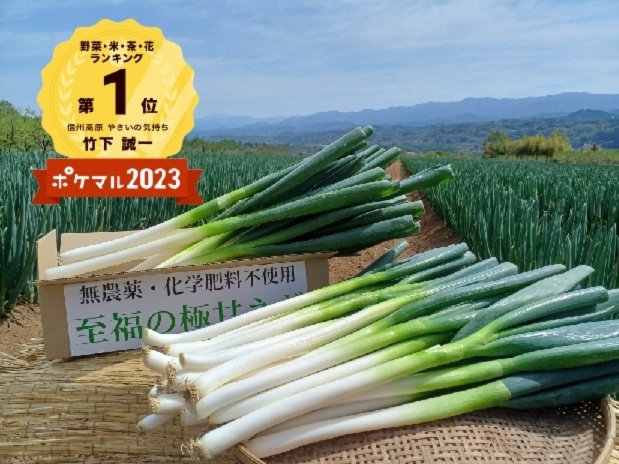 野菜の福袋】【✨1コイン特売✨】10%以上増量⭕️至福の極甘ネギ✨｜ねぎの商品詳細｜ポケットマルシェ｜産地直送で旬の食材が生産者(農家・漁師)から届く