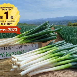 【野菜の福袋】✅至福の極甘ネギ【10%以上増量❗️❗️】✨信州産【クール便 】