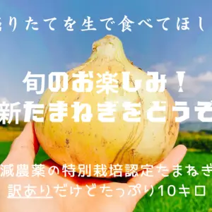【生でも甘ーい】★訳あり★新玉ねぎ10キロ　特別栽培認定