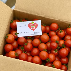 訳ありミニトマト