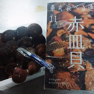 『殻付赤皿貝※海水充填』『東北食べる通信+ﾅｲﾌ』ｾｯﾄ