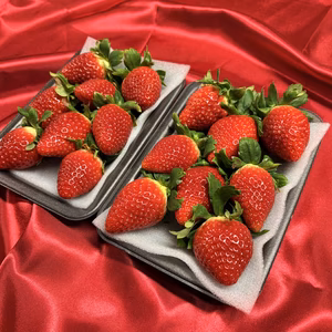 てぃあらふぁーむが届ける「いちごさん」大玉1箱約500g