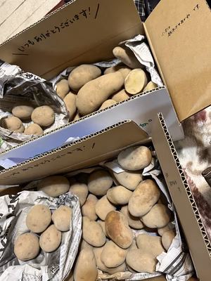 みんなの投稿の画像