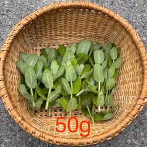 無農薬 アップルミント ハーブ 約50g