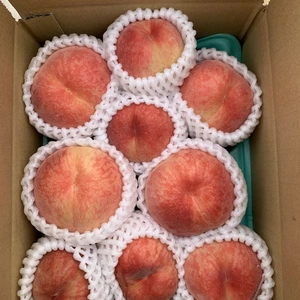 完熟山梨県生まれの真っ赤な日川白鳳‼️木の上に残っている大桃