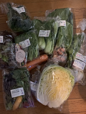 みんなの投稿の画像