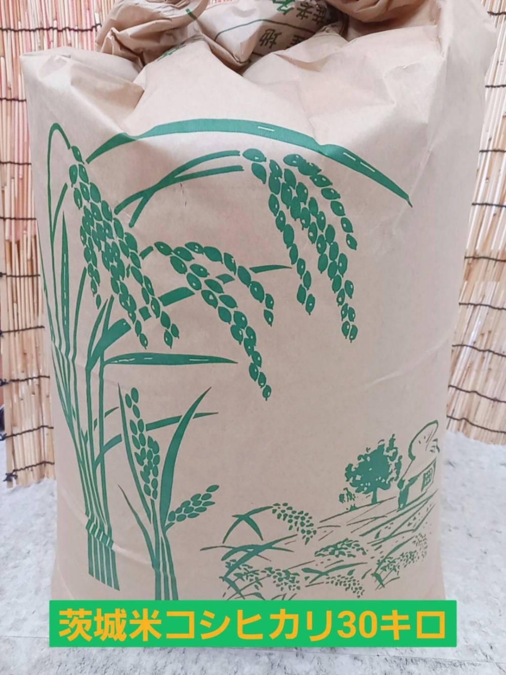 令和7年 茨城県産 コシヒカリ 玄米30kg｜玄米の商品詳細