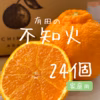 不知火　5キロ24個　家庭用