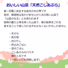 《予約受付》採れたて山菜天然こしあぶら  天ぷら・混ぜごはん等で