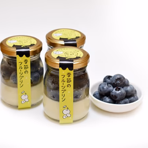 大地の卵　なめらかプリン＆期間限定プリン（有機ブルーベリー）6個セット