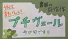 【2月14日週限定】あなたのワガママを聞きます！！　ミニ野菜セット