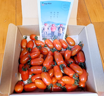 みんなの投稿の画像