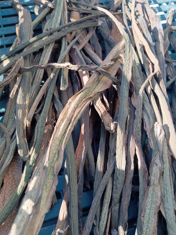 乾燥ずいきつき60g【数量限定✨️✨️】子供に食べさせたい野菜✨✨