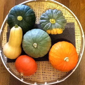 保存期間が長い各種カラフルカボチャの食べ比べセット