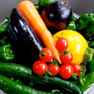 SDGs商品・規格外・訳あり】☆未来をつくる笑み野菜☆旬の野菜セットS