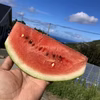 みかん農家が作る！　スイカ+野菜セット^_^！　　本日発送・送料無料！！
