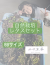 シャキシャキ栄養満点レタスセット【60サイズ】