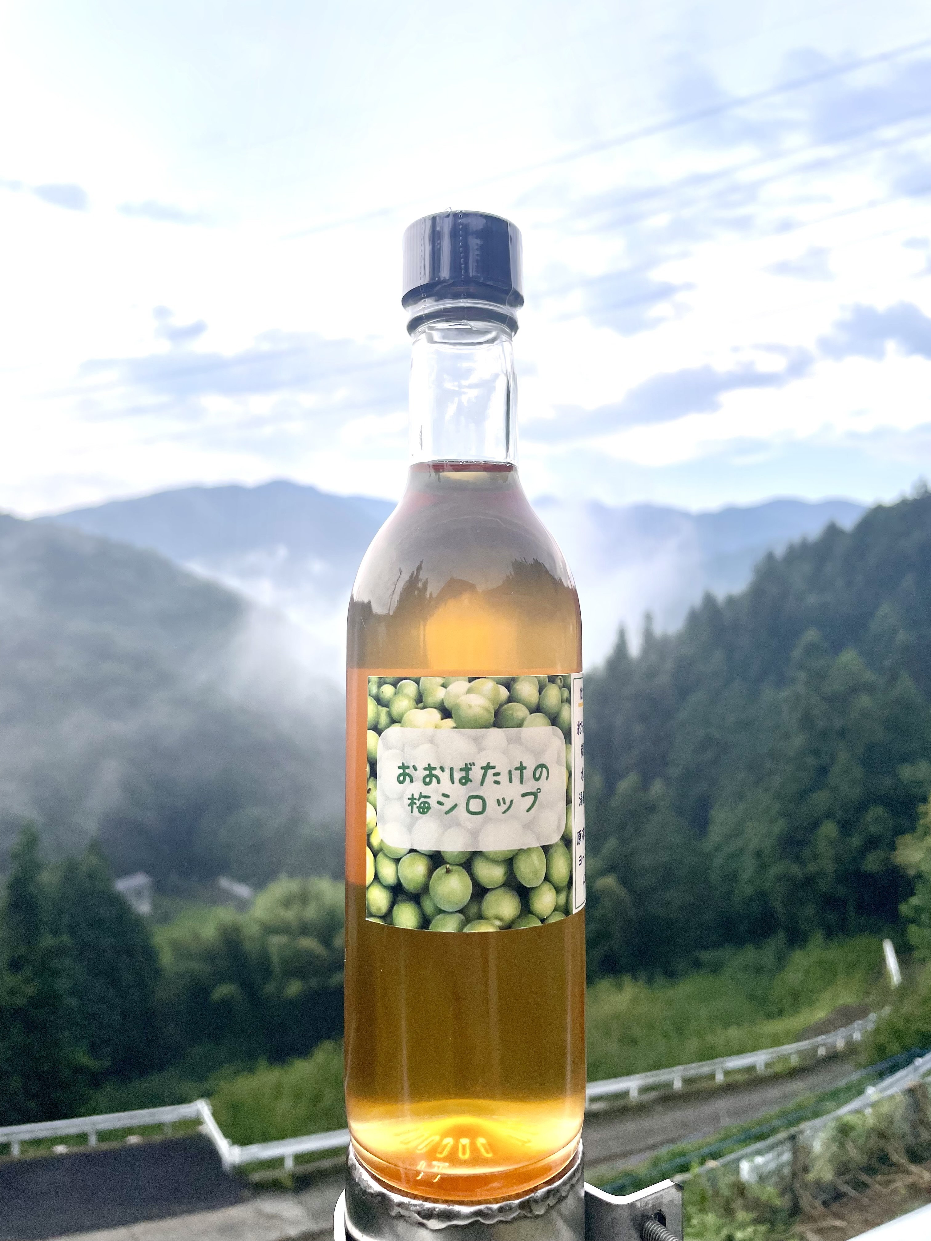 梅農家の梅シロップ 2本セット〜 ノンアルコール ｜シロップの商品詳細