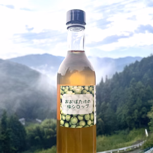 おおばたけの梅シロップ　梅農家　梅酒屋のノンアルコール