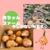 新玉ねぎ【小玉ちゃん】ミックス 農家直送♡お待たせしました！使い切りサイ