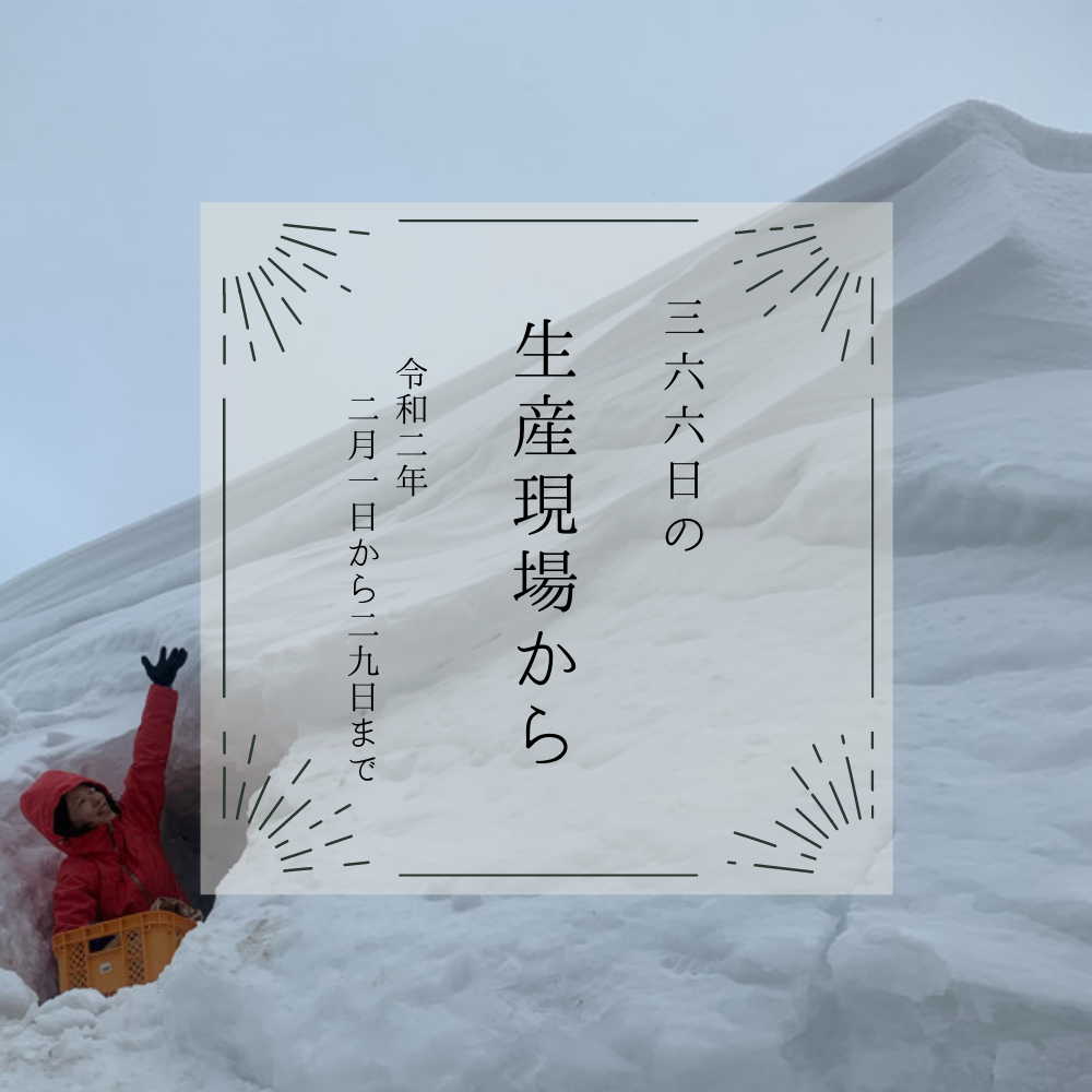 2020年2月の生産現場から[バックナンバー] | 農家漁師から産地直送の