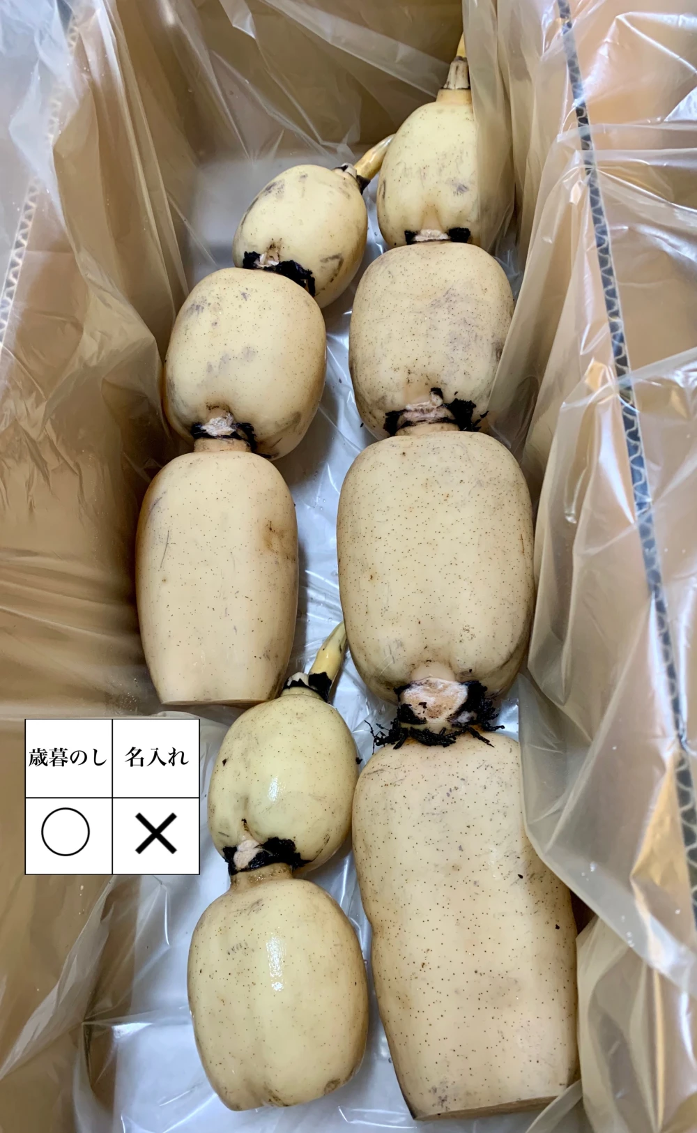 冬ギフト 常温便  れんこんグランプリ 最優秀賞受賞 贈答orご自宅用 ！？