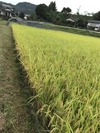 令和2年度 健康プロトン白米 (農薬.化学肥料使用ゼロ)自然栽培プラスα